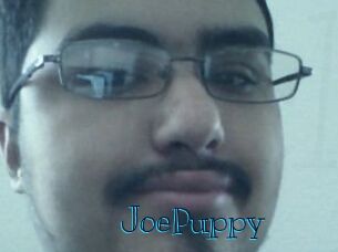 JoePuppy
