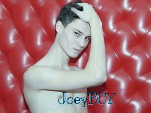 JoeyB0Y