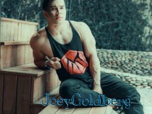 JoeyGoldberg