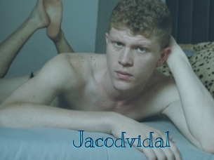 jacodvidal Archive DVD BIZ