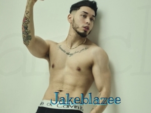 jakeblazee Archive DVD BIZ