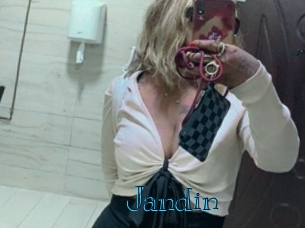 jandin Archive DVD BIZ