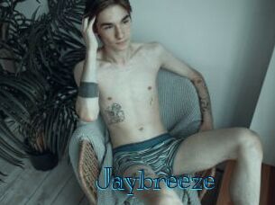 Jaybreeze