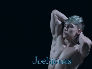 joehjonas Archive DVD BIZ