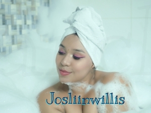 josliinwillis Archive DVD BIZ