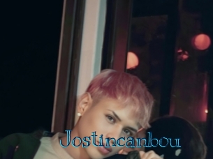 jostincanbou Archive DVD BIZ