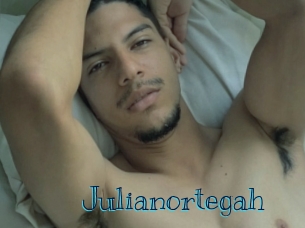 Julianortegah