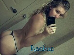 Kaebug