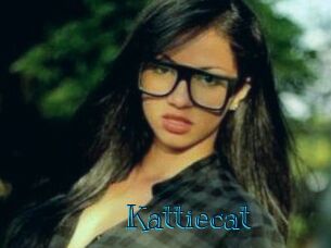 Kattiecat