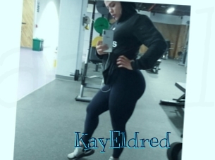 KayEldred Archive DVD BIZ