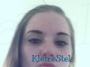 KleineStel