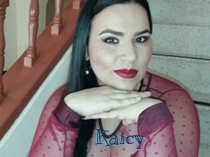 kaicy Archive DVD BIZ