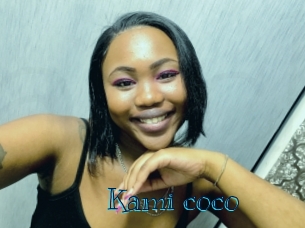 kami_coco Archive DVD BIZ