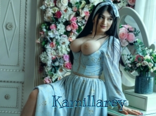 kamillarey Archive DVD BIZ