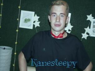 Kanesteepy