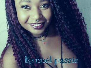 Kannel_passie