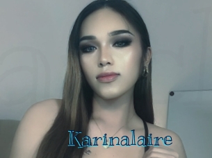 karinalaire Archive DVD BIZ