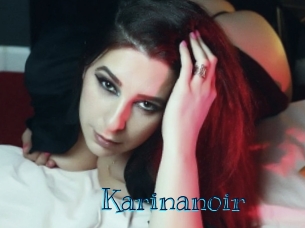 Karinanoir