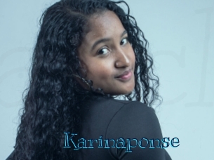 karinaponse Archive DVD BIZ