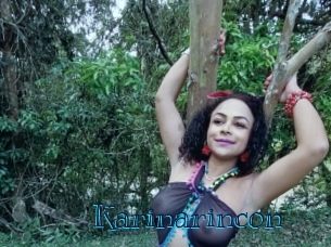 karinarincon Archive DVD BIZ