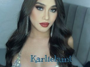 karliehunt Archive DVD BIZ