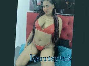 karriepink Archive DVD BIZ