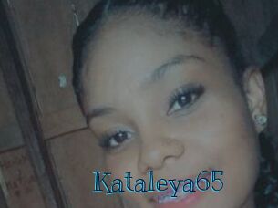 Kataleya65