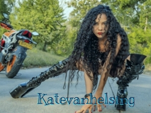 katevanhelsing Archive DVD BIZ