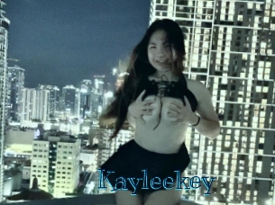 kayleekey Archive DVD BIZ