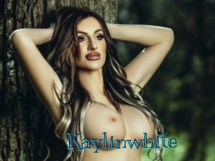 kaylinwhite Archive DVD BIZ