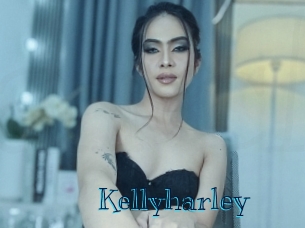 kellyharley Archive DVD BIZ