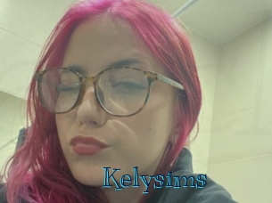 kelysims Archive DVD BIZ