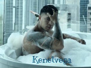 kenetvega Archive DVD BIZ