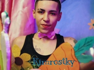 kimrostky Archive DVD BIZ