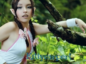 kittycarpert Archive DVD BIZ
