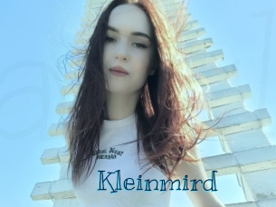 Kleinmird
