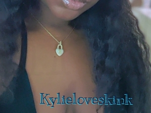 kylieloveskink Archive DVD BIZ