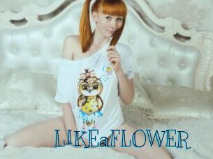 LIKEaFLOWER Archive DVD BIZ
