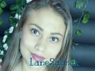 LaneSalmak