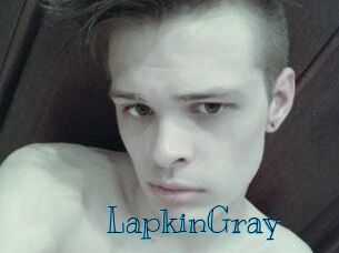 LapkinGray