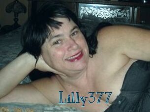 Lilly377