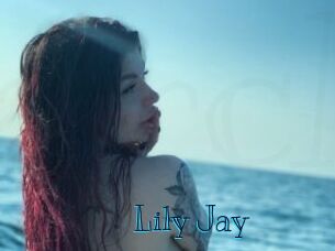 Lily_Jay