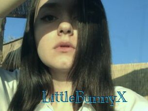 LittleBunnyX