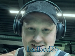 ladbod36 Archive DVD BIZ