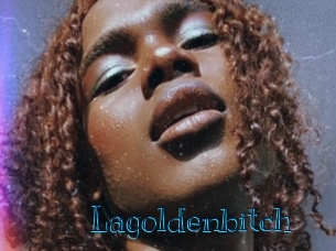 lagoldenbitch Archive DVD BIZ