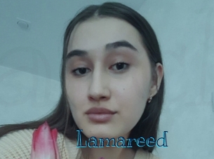 Lamareed