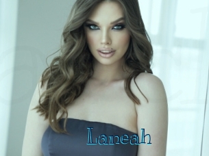 laneah Archive DVD BIZ