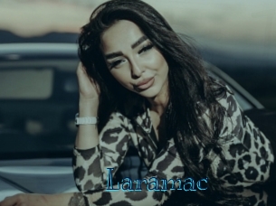 laramac Archive DVD BIZ