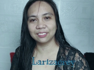 larizagrey Archive DVD BIZ