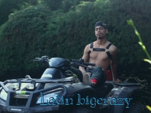 Latin_bigcrazy